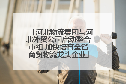 河北物流集团与河北外贸公司启动整合重组 加快培育全省商贸物流龙头企业